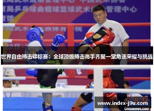 世界自由搏击锦标赛:全球顶级搏击高手齐聚一堂角逐荣耀与挑战