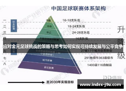 应对金元足球挑战的策略与思考如何实现可持续发展与公平竞争