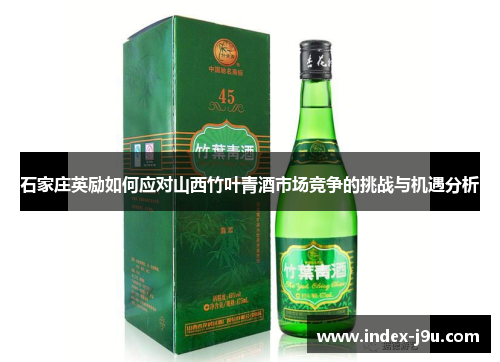石家庄英励如何应对山西竹叶青酒市场竞争的挑战与机遇分析