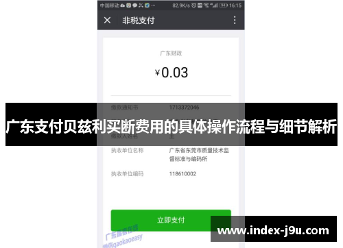 广东支付贝兹利买断费用的具体操作流程与细节解析
