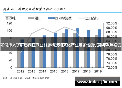 如何深入了解巴西在农业能源科技和文化产业等领域的优势与发展潜力