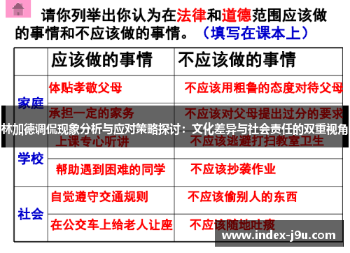 林加德调侃现象分析与应对策略探讨：文化差异与社会责任的双重视角